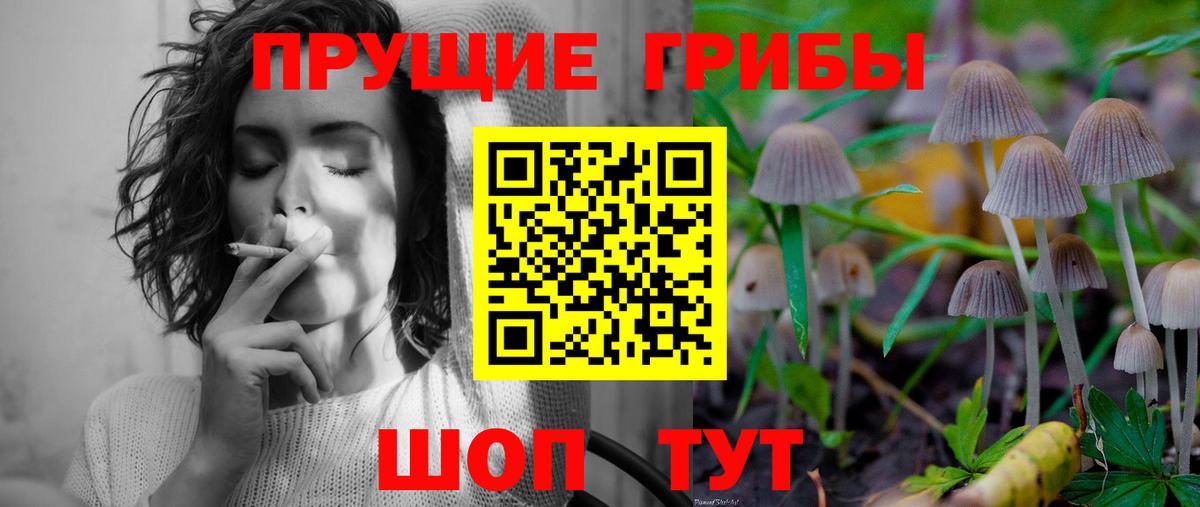 Галлюциногенные грибы Magic Shrooms  Псилоцибиновые грибы Psilocybe  Вход с VPN  Елабуга 