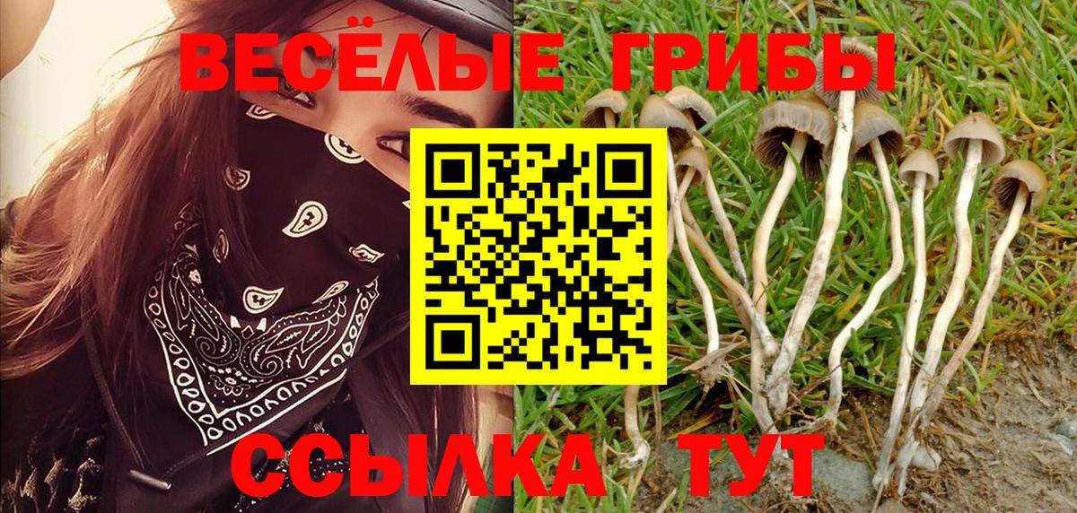 Галлюциногенные грибы прущие грибы Елабуга